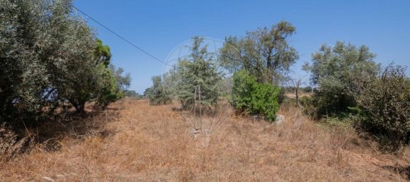 3 Schlafzimmer Haus in Santiago do Cacem, Portugal, Nr. 268807 41