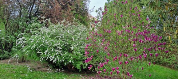 5 rooms House in Seiersberg-Pirka, Austria No. 133579 18