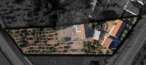 5 bedrooms House in Tomar, Portugal No. 24503 10