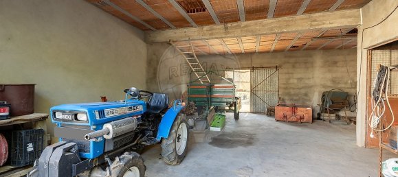 5 bedrooms House in Tomar, Portugal No. 24503 39