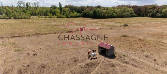 4 bedrooms Castles in Libourne, France No. 335791 5