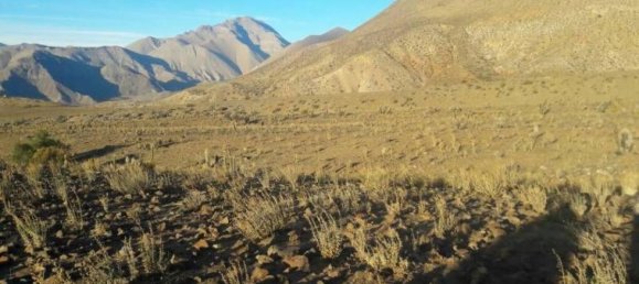  Land in Coquimbo, Chile No. 1042 2