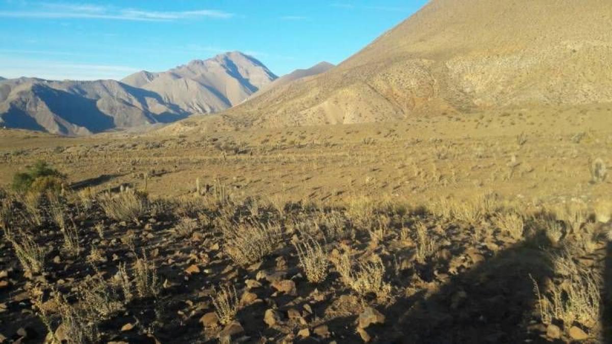  Land in Coquimbo, Chile No. 1042