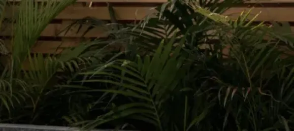 3 Schlafzimmer Wohnung in Marbella, Spain, Nr. 68591 22