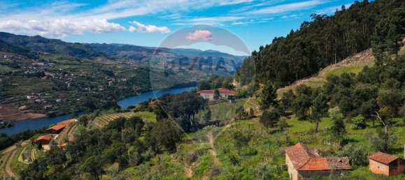 3 chambres Maison à Baiao, Portugal No. 26828 8