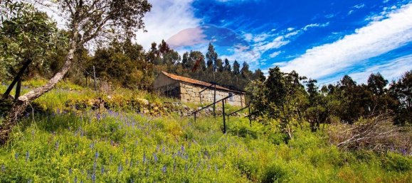 3 chambres Maison à Baiao, Portugal No. 26828 12