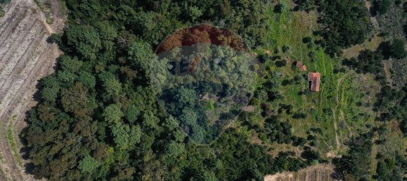 3 chambres Maison à Baiao, Portugal No. 26828 21