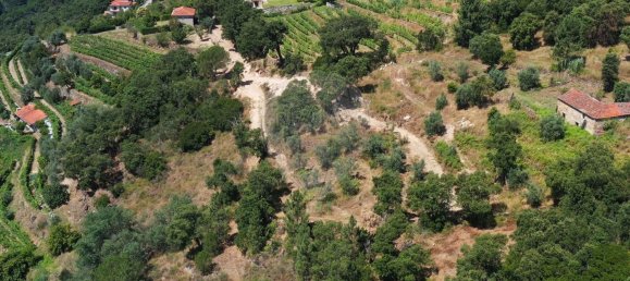 3 chambres Maison à Baiao, Portugal No. 26828 2