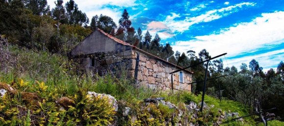 3 chambres Maison à Baiao, Portugal No. 26828 13