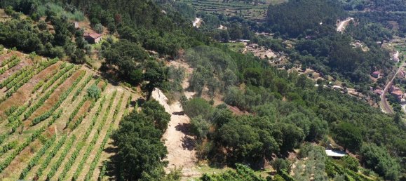 3 chambres Maison à Baiao, Portugal No. 26828 4