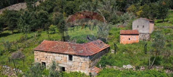 3 chambres Maison à Baiao, Portugal No. 26828 11
