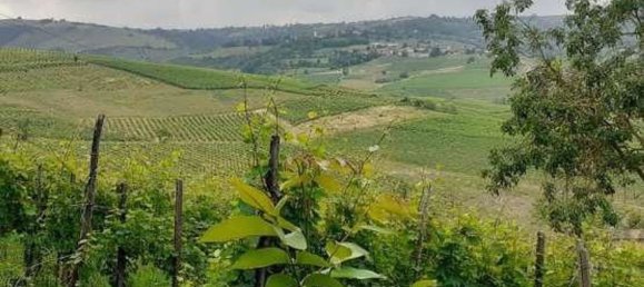 6777m² Land in Borgoratto Mormorolo, Italy No. 5101 14