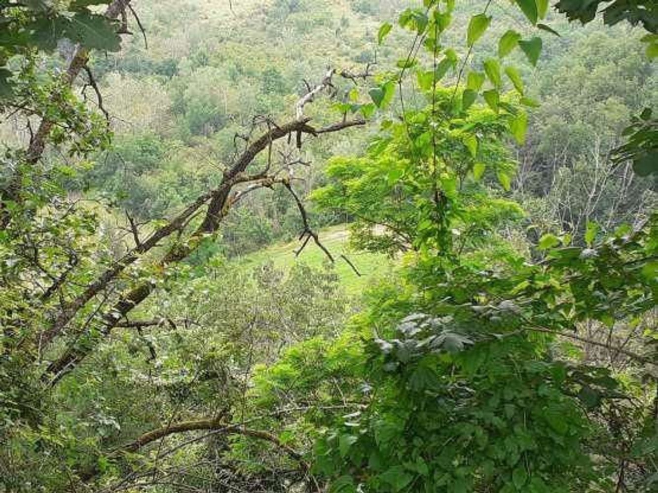 6777m² Land in Borgoratto Mormorolo, Italy No. 5101