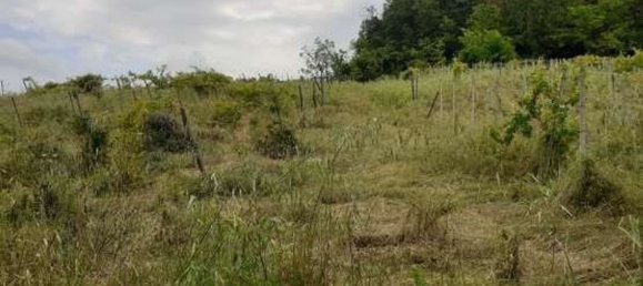 6777m² Land in Borgoratto Mormorolo, Italy No. 5101 24