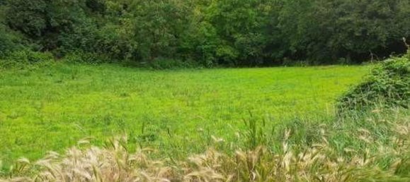 6777m² Land in Borgoratto Mormorolo, Italy No. 5101 13