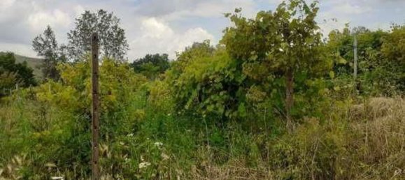 6777m² Land in Borgoratto Mormorolo, Italy No. 5101 17