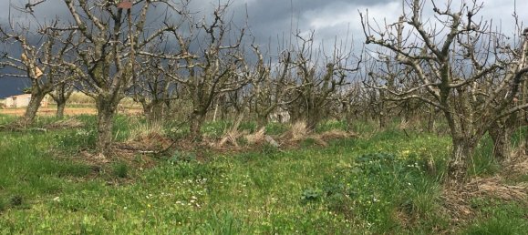 Grundstück in Mafra, Portugal, Nr. 87824 12