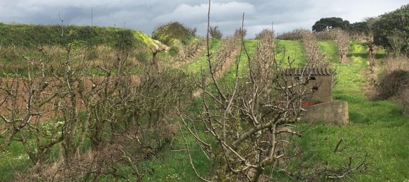 Grundstück in Mafra, Portugal, Nr. 87824 5