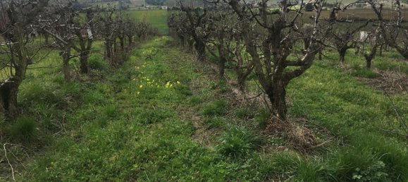 Grundstück in Mafra, Portugal, Nr. 87824 19