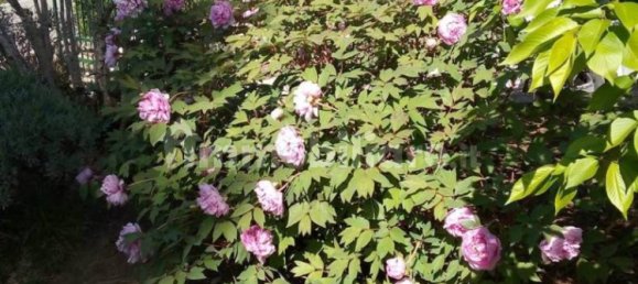 Villa de 4 dormitorios en Chiusi, Italy No. 179487 32