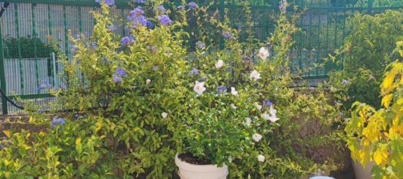 Вилла с 3 спальнями в Фазано, Италия № 297990 9