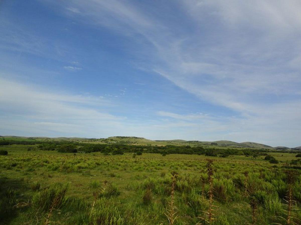 Bauernhof in Maldonado, Uruguay, Nr. 14079