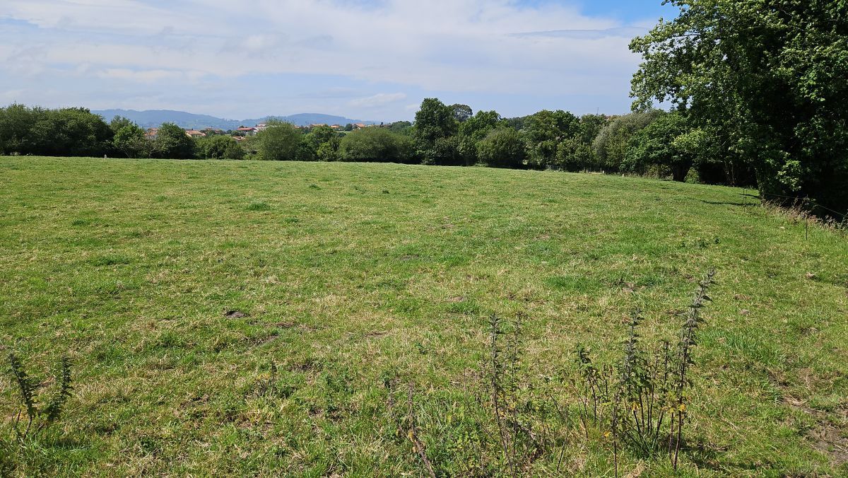 2600m² Land in Asturias, Spain No. 89432