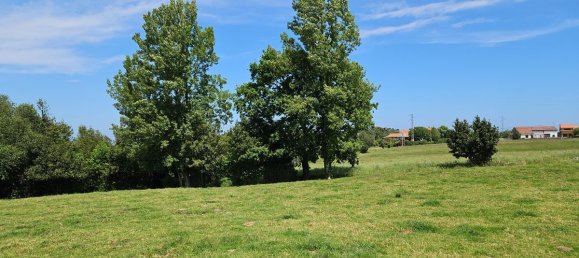 2600m² Land in Asturias, Spain No. 89432 4