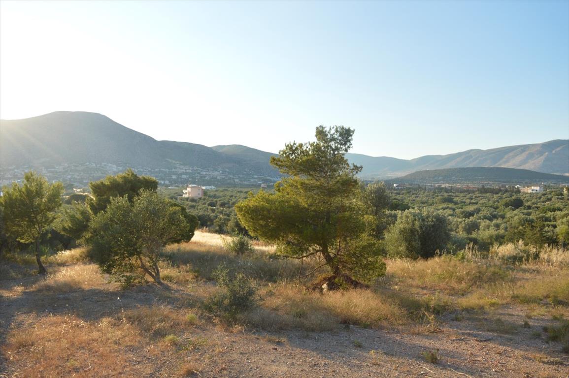 12600 m² hotel en venta en Palaia Fokaia, Saronikos, East Attica, Attica, Greece № 6218