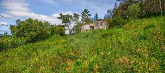 1 Schlafzimmer Haus in Maiorga, Portugal, Nr. 35673 5