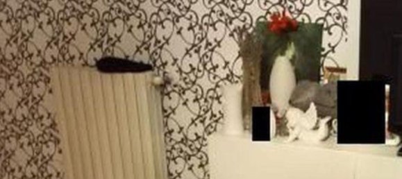 2 rooms Apartment in Cerano, Italy No. 165262 9