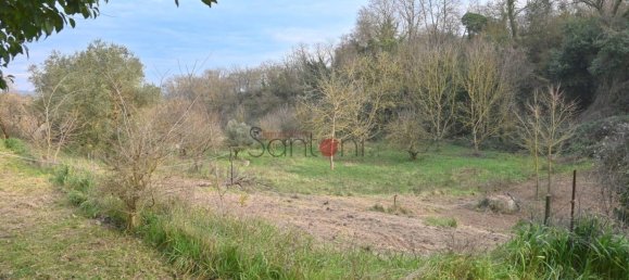 Lagerhaus in Viterbo, Italy 40m², Nr. 281495 14