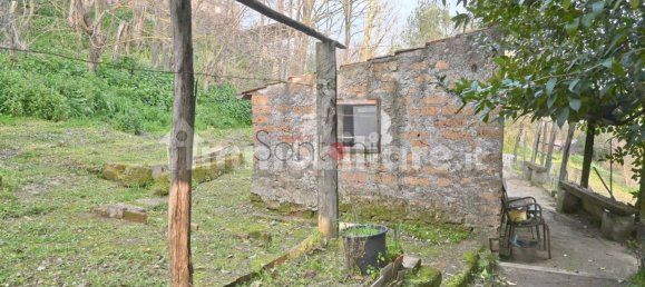 Lagerhaus in Viterbo, Italy 40m², Nr. 281495 21