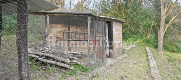 Lagerhaus in Viterbo, Italy 40m², Nr. 281495 16