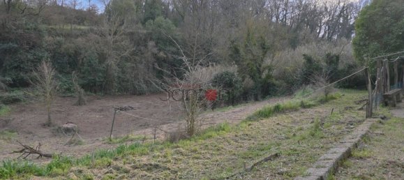 Lagerhaus in Viterbo, Italy 40m², Nr. 281495 15