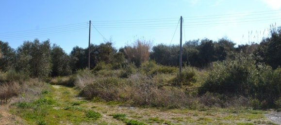 24000m² Hotel in Corfu, Greece No. 7316 7