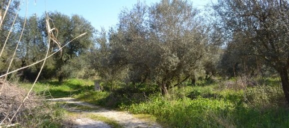 24000m² Hotel in Corfu, Greece No. 7316 2