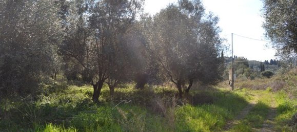 24000m² Hotel in Corfu, Greece No. 7316 3