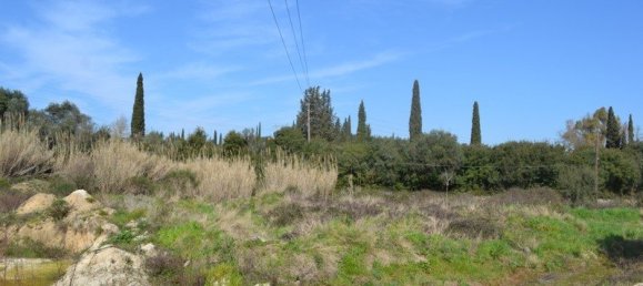 24000m² Hotel in Corfu, Greece No. 7316 4