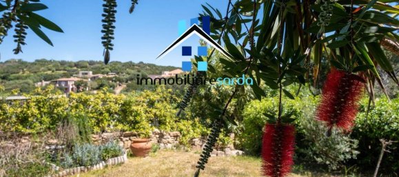 6غرفة شقة في Arzachena, Italy رقم 236504 6