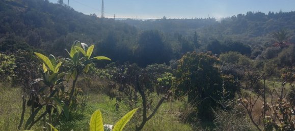 2 bedrooms House in Estepona, Spain No. 127551 19