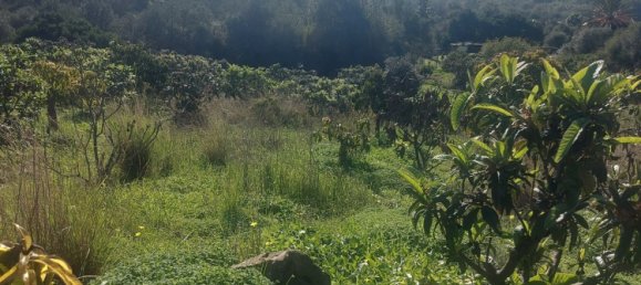 2 bedrooms House in Estepona, Spain No. 127551 17