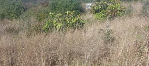 2 bedrooms House in Estepona, Spain No. 127551 15