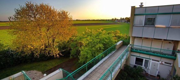 3 rooms Apartment in Deutsch-Wagram, Austria No. 238819 25