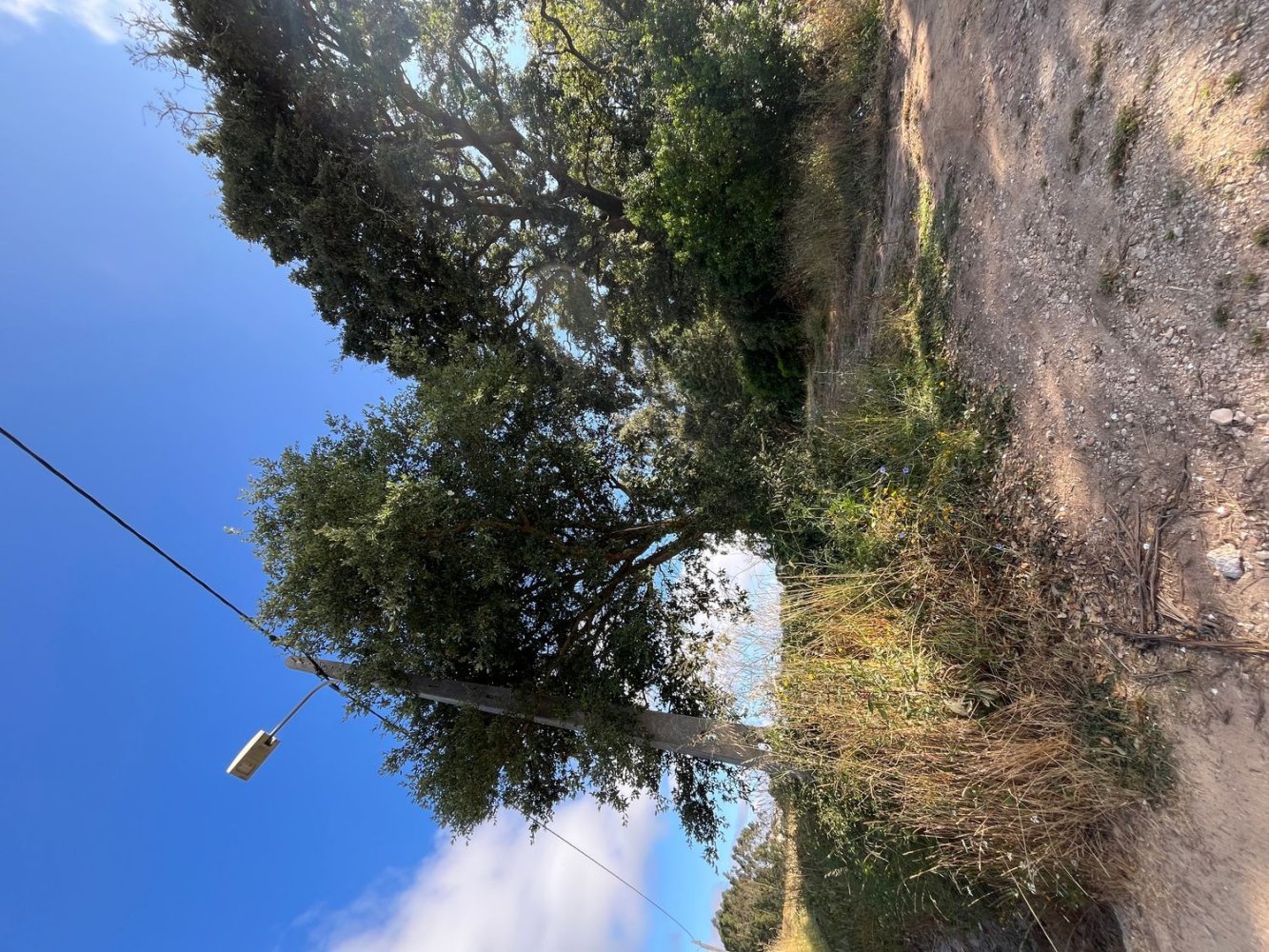 Terrain à Alcobaca, Portugal No. 193115