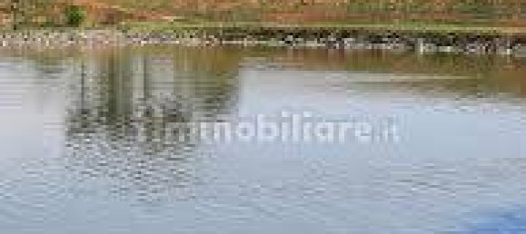 4 rooms Commercial property in Colorno, Italy No. 258552 13