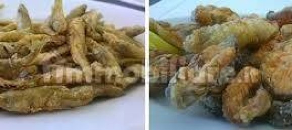 4 rooms Commercial property in Colorno, Italy No. 258552 20