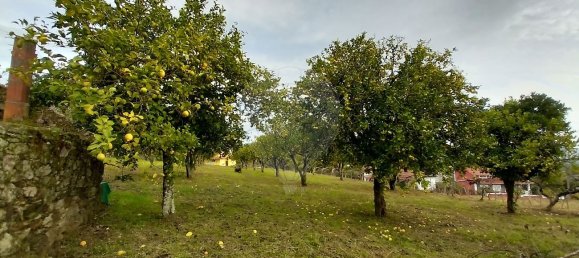 2 Schlafzimmer Haus in Serta, Portugal, Nr. 36868 3