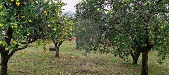 2 Schlafzimmer Haus in Serta, Portugal, Nr. 36868 8