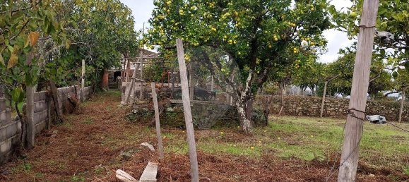 2 Schlafzimmer Haus in Serta, Portugal, Nr. 36868 7